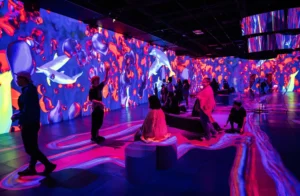 Montreal OASIS Immersion Entry Ticket