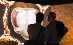 Royal Ontario Museum exhibits