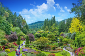 Victoria and Butchart Gardens Day Trip from Vancouver3