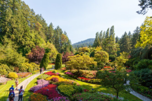 Victoria and Butchart Gardens Day Trip from Vancouver4